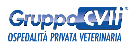 Gruppo CVIT